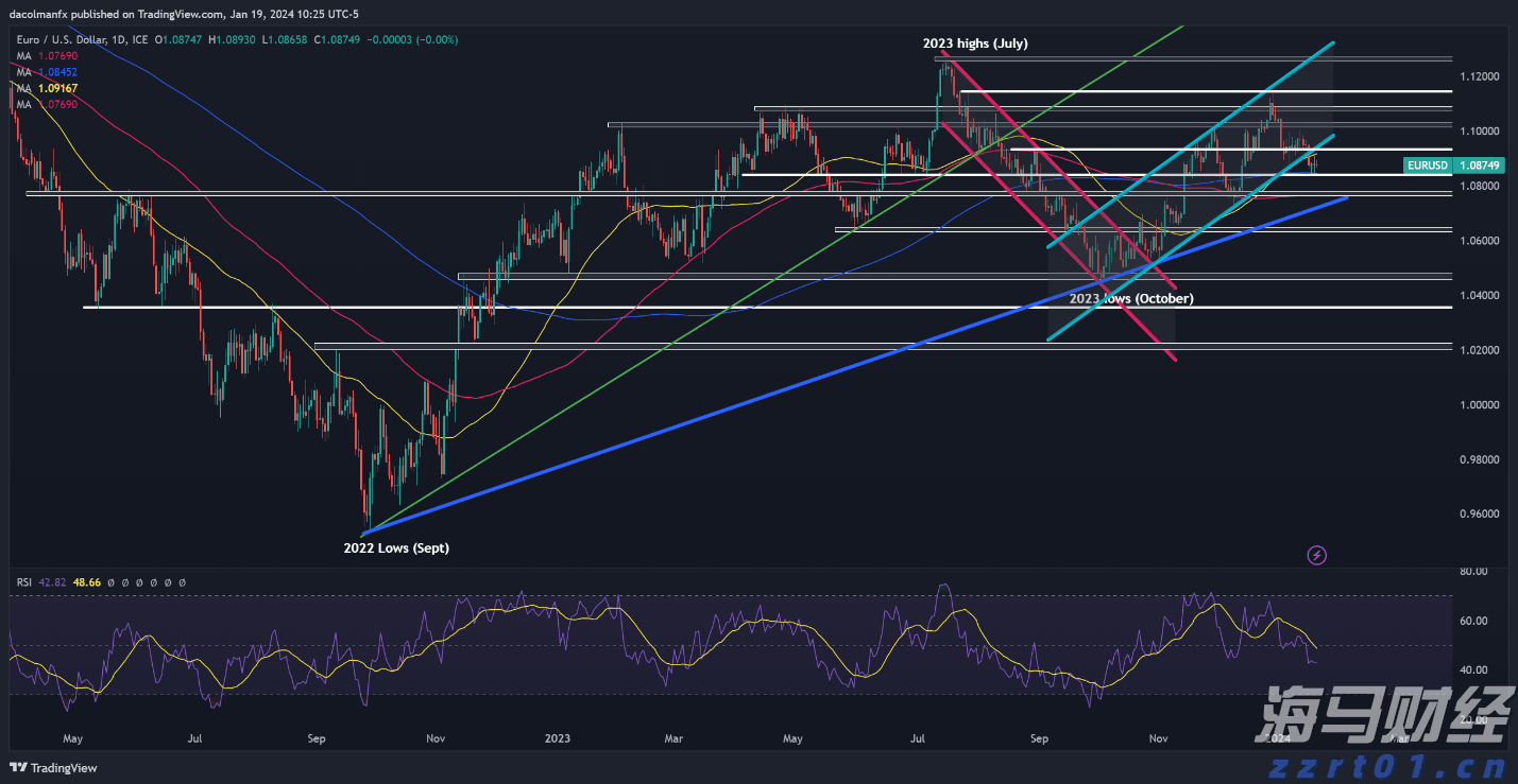 我市举办第五届“荷城金韵”文化活动