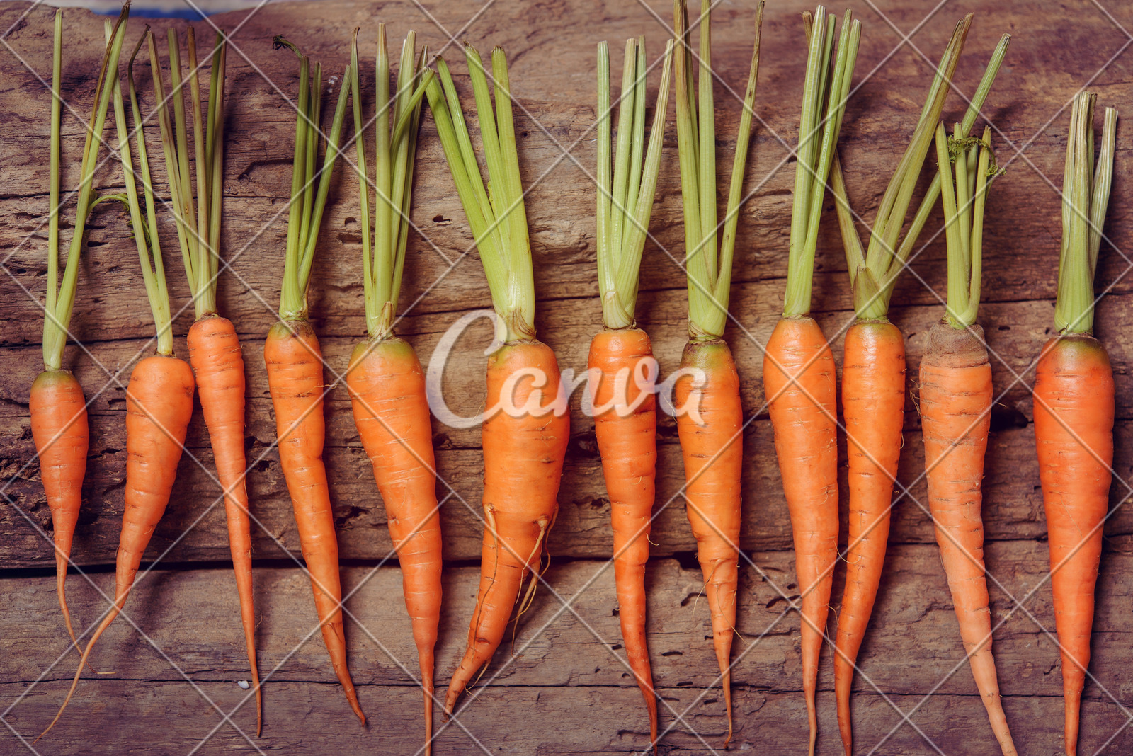 美股动态|乐信(LX.US)启动6000万美元股票回购计划 股价大涨11.71%